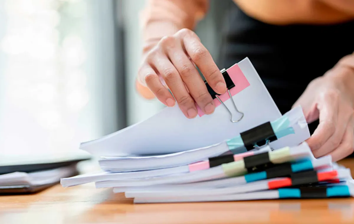 COA, MSDS, TDS & DMF Explained: API Documentation Guide
