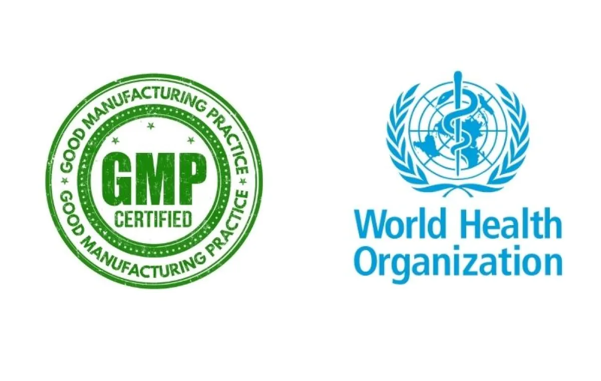 GMP vs WHO-GMP vs cGMP: What API Buyers Need to Know