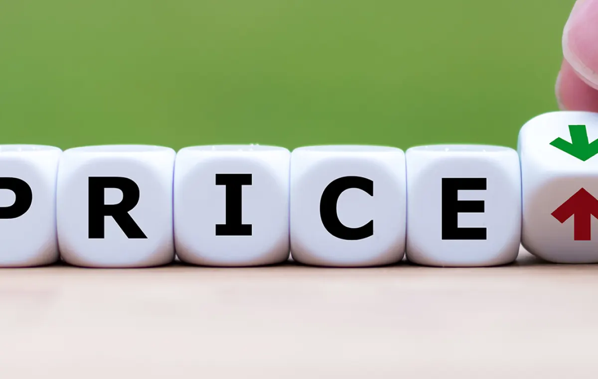 What Determines API Prices? 7 Factors Every Buyer Should Know